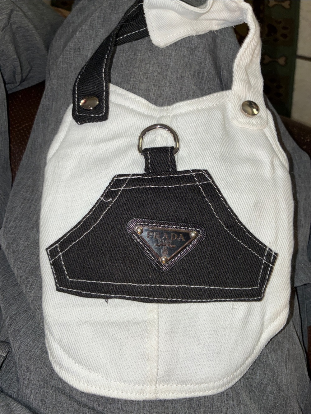 Louis Vuitton Yellow Monogram pet clothes - Picture 4 of 6